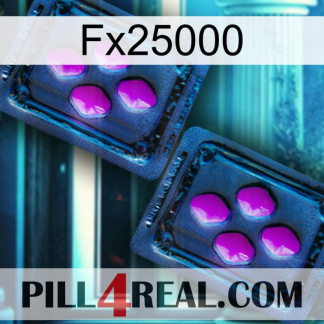 Fx25000 03